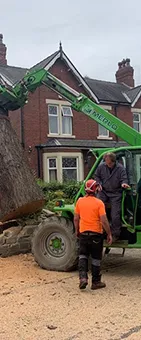 two men are working on a tree in front of a house